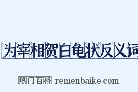 为宰相贺白龟状反义词是什么意思的图片